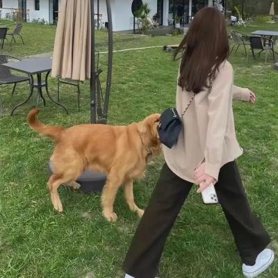 拐个洋妞做媳妇