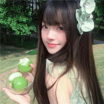 黄蜂第一季