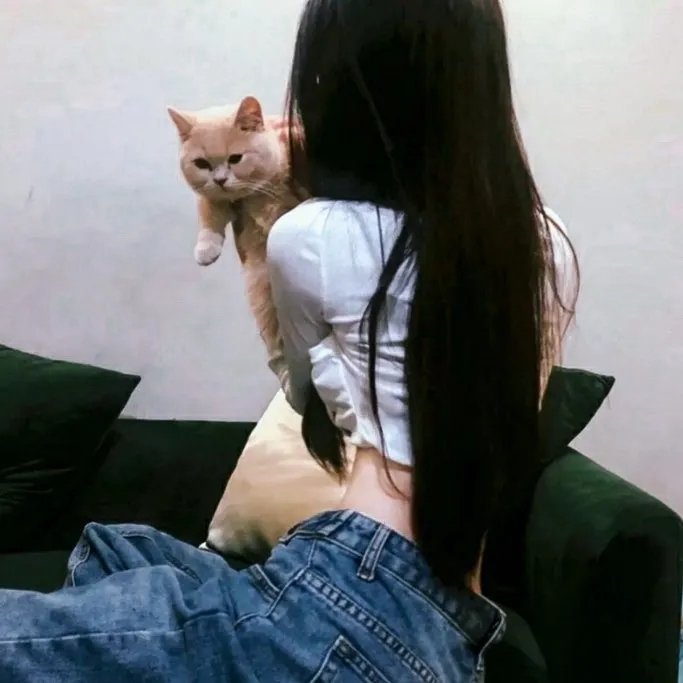 苏恩之争